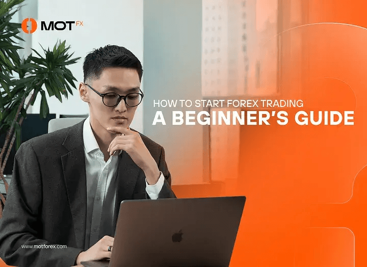 beginners guide
