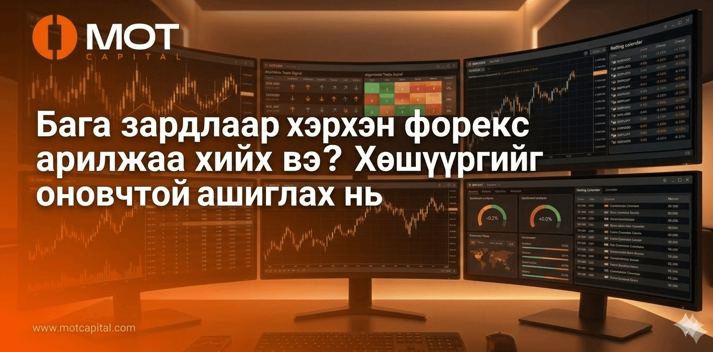 Бага зардлаар хэрхэн форекс арилжаа хийх вэ? Хөшүүргийг оновчтой ашиглах нь